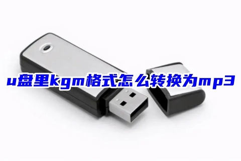 3c54f202311271039487689.jpg